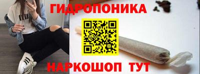 каннабис Кингисепп