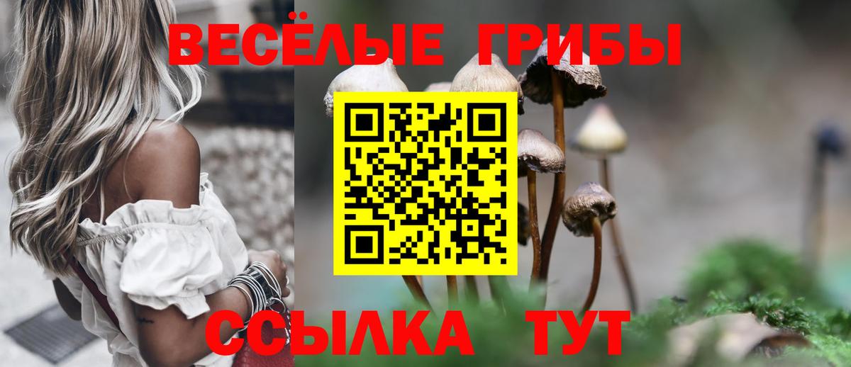 Псилоцибиновые грибы прущие грибы  Галлюциногенные грибы прущие грибы  Вход с VPN  Нижний Тагил 